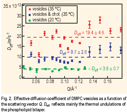 Figure 2: Effective diffusion coefficient of DMPC vesicles as a function of the scattering vector Q E sub e f f reflects mainly the thermal undulations of the phospholipid bilayer.