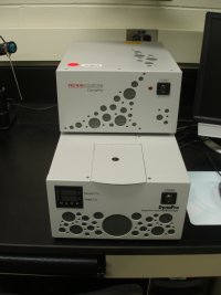 DLS Image