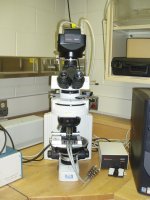 Microscope
