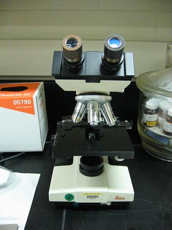Microscope