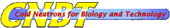 CNBT Logo