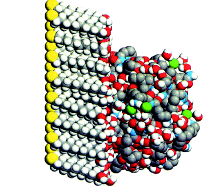 Molecular dynamics “snapshot” of Y C C
