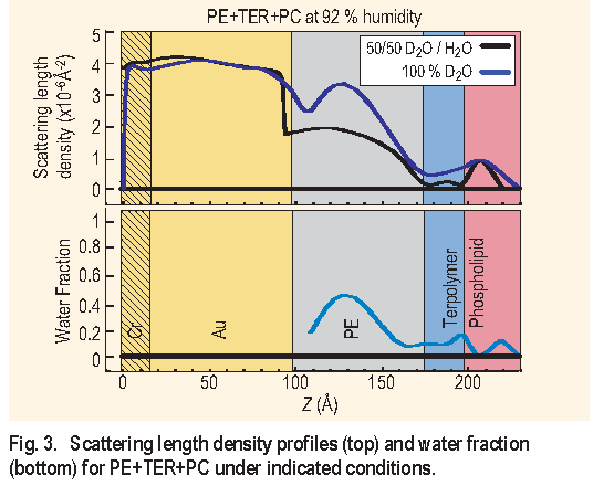 Fig. 3. Scattering length density profiles ( top ) and water fraction ( bottom ) for PE+T E R+PC under indicated conditions.