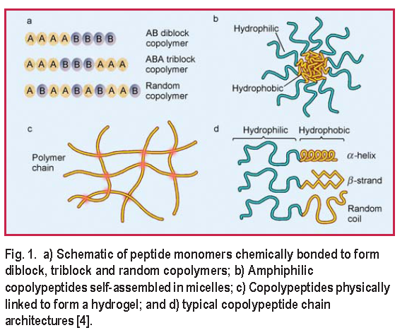 Figure 1. a) Schematic of peptide monomers chemically bonded to form diblock, triblock and random copolymers; b) Amphiphilic copolypeptides self-assembled in micelles; c) Copolypeptides physically linked to form a hydrogel; and d) typical copolypeptide chain architectures [4].