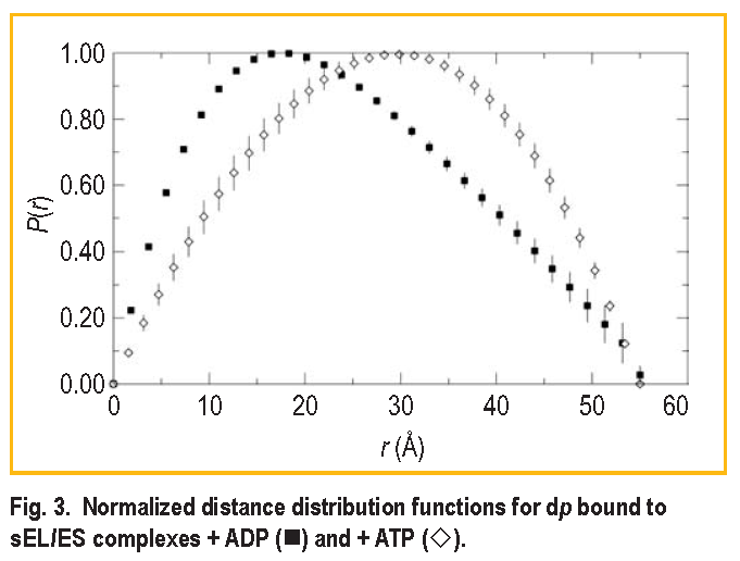 Normalized distance distribution functions for dp bound to s E L / E S complexes + ADP ( square ) and +  ATP( diamond )