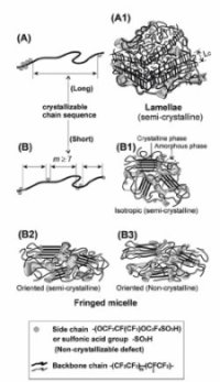 Schematics of possible NAFION structures
